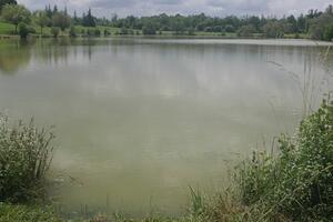 photo [Sortie nature] Au fil de l'eau